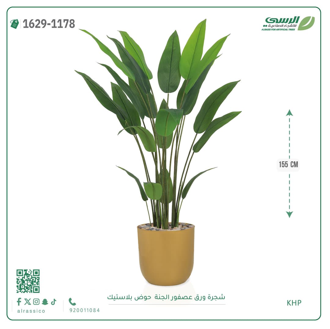 شجرة ورق عصفور الجنة حوض بلاستيك