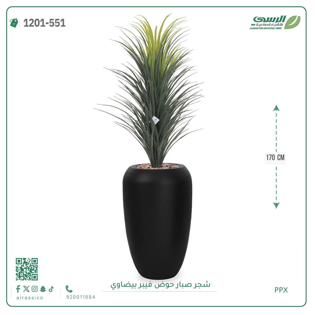 شجر صبار حوض فيبر