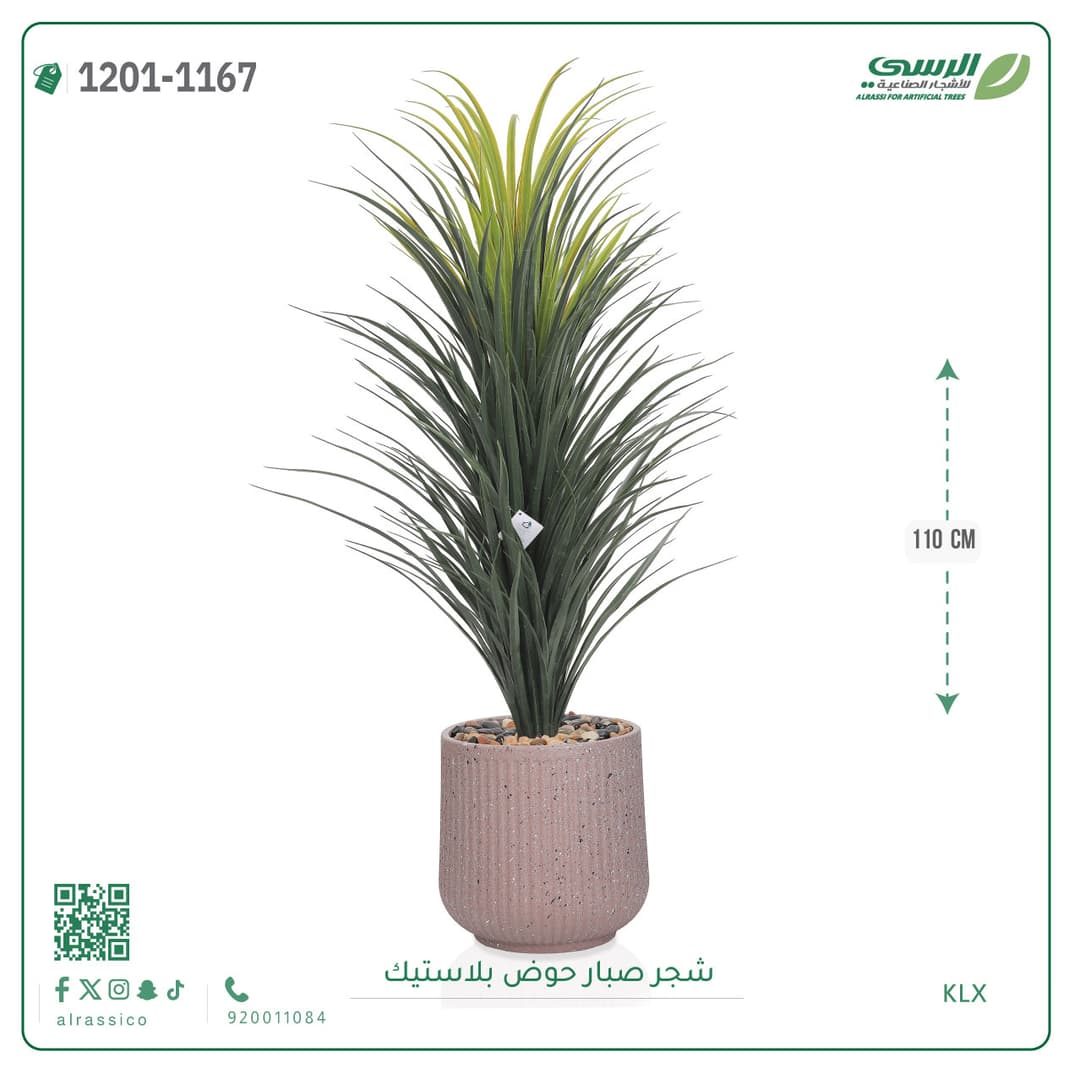 شجر صبار حوض بلاستيك مخطط