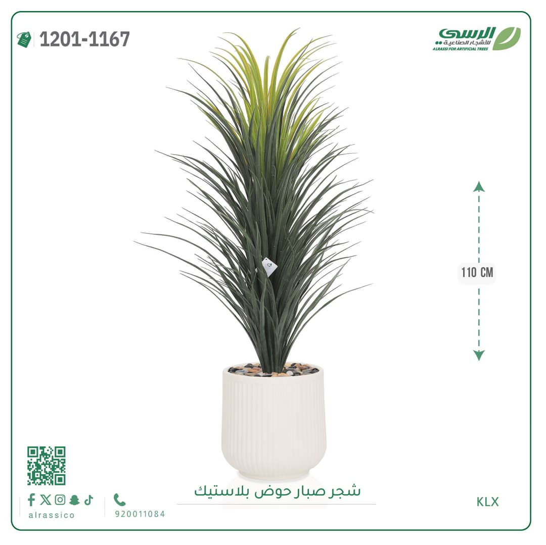 شجر صبار حوض بلاستيك مخطط